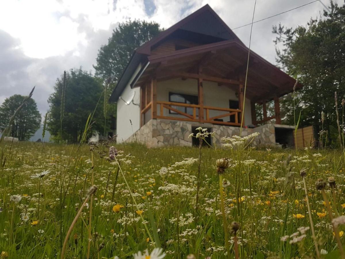 Eco Village Highlander Žabljak Eksteriør bilde