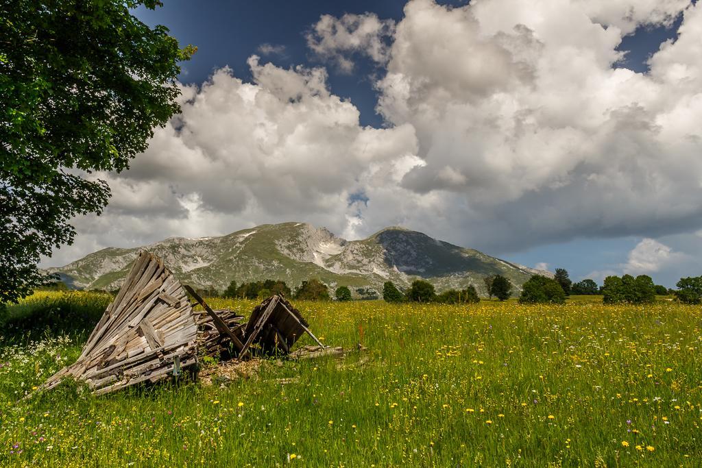 Eco Village Highlander Žabljak Eksteriør bilde