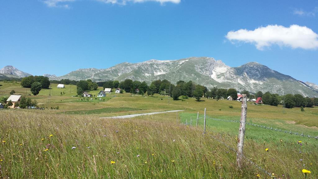 Eco Village Highlander Žabljak Eksteriør bilde